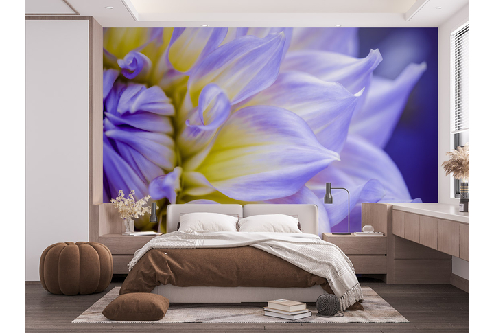 Фотообои «Большой цветок георгины» в интерьере