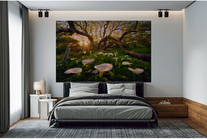 Фотообои «Солнечный лес с цветами каллы» в интерьере