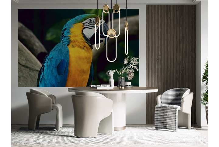 Фотообои «Красивый попугай» в интерьере