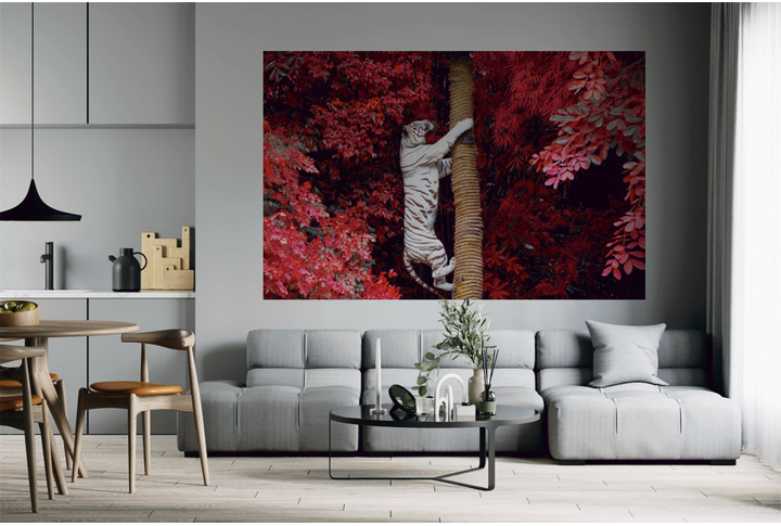 Фотообои «Белый тигр в листве» в интерьере