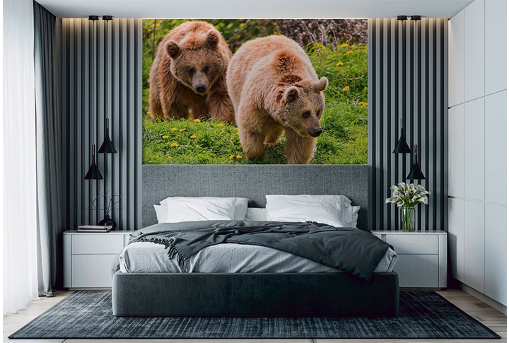 Фотообои «Два медведя» в интерьере