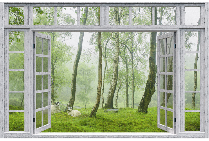 Фотообои «Открытое окно на туманный лес»