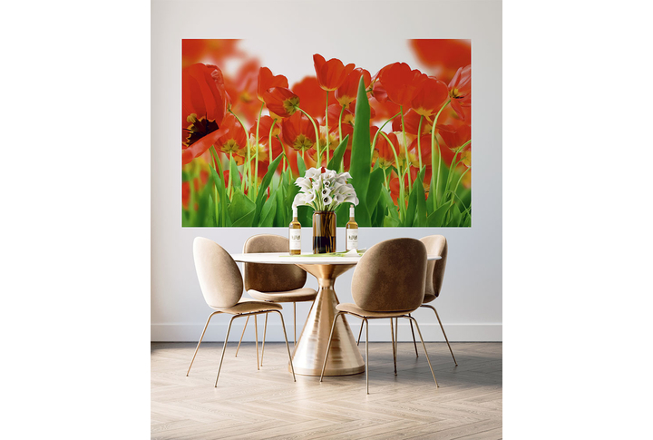 Фотообои «Поле красных тюльпанов» в интерьере