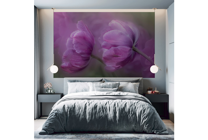 Фотообои «Фиолетовые тюльпаны» в интерьере