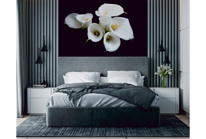 Фотообои «Цветы белых калл на темном фоне» в интерьере