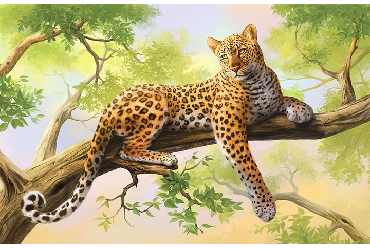 Фотообои «Леопард на дереве»