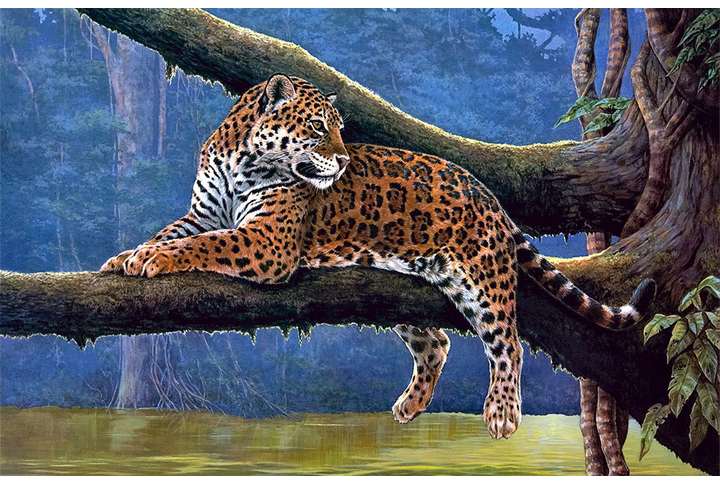 Фотообои «Леопард в джунглях»