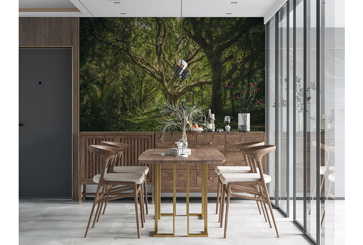 Фотообои «Лес в джунглях, старое дерево на поляне» в интерьере