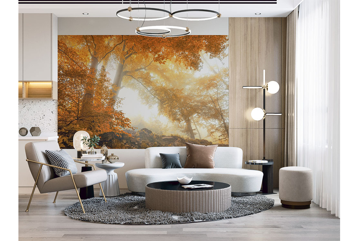 Фотообои «Лес в осеннем тумане» в интерьере