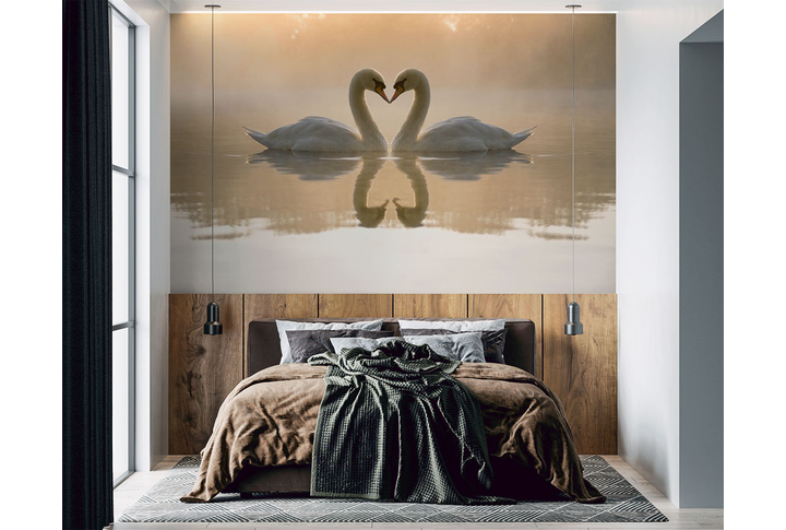 Фотообои «Влюбленные лебеди» в интерьере