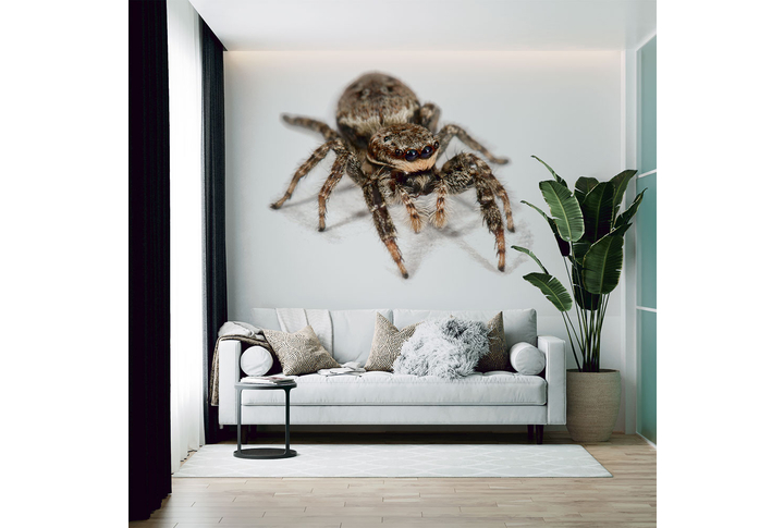 Фотообои «Паук на белом фоне» в интерьере