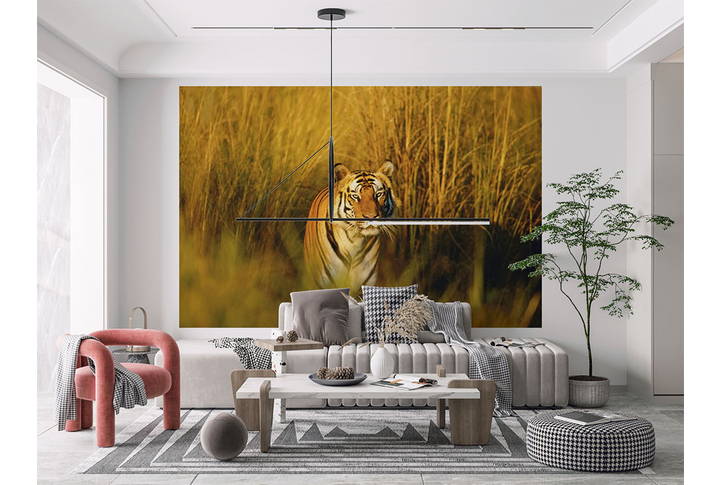 Фотообои «Тигр в осенних зарослях» в интерьере
