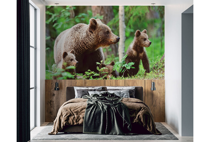 Фотообои «Семья медведей» в интерьере