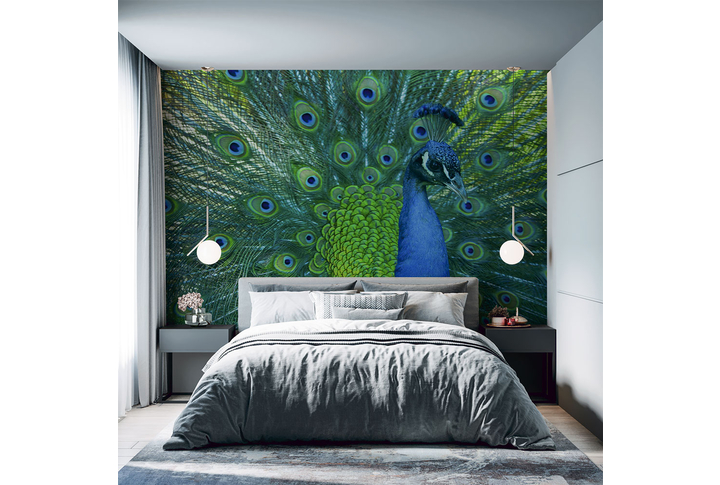 Фотообои «Павлин» в интерьере