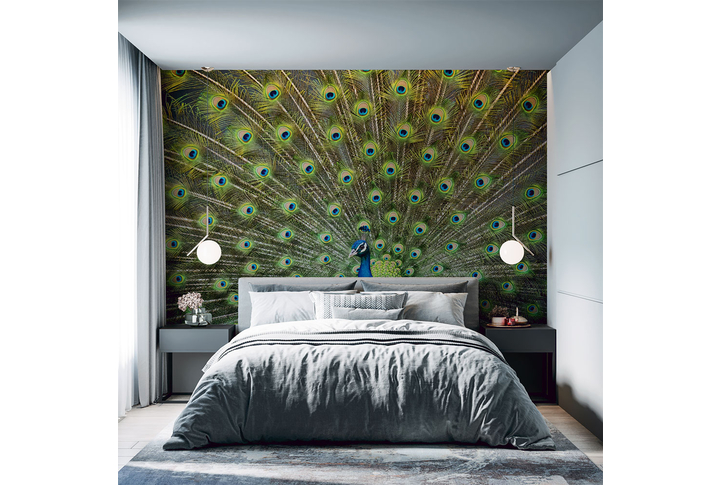 Фотообои «Роскошный павлин» в интерьере