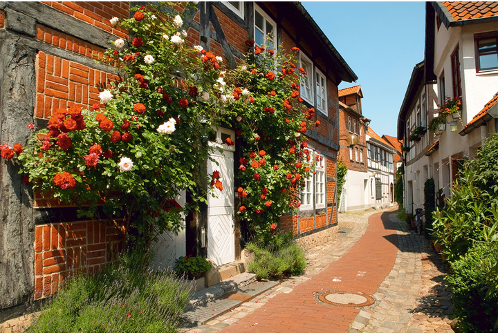 Фотообои «Цветущая улица в деревеньке»