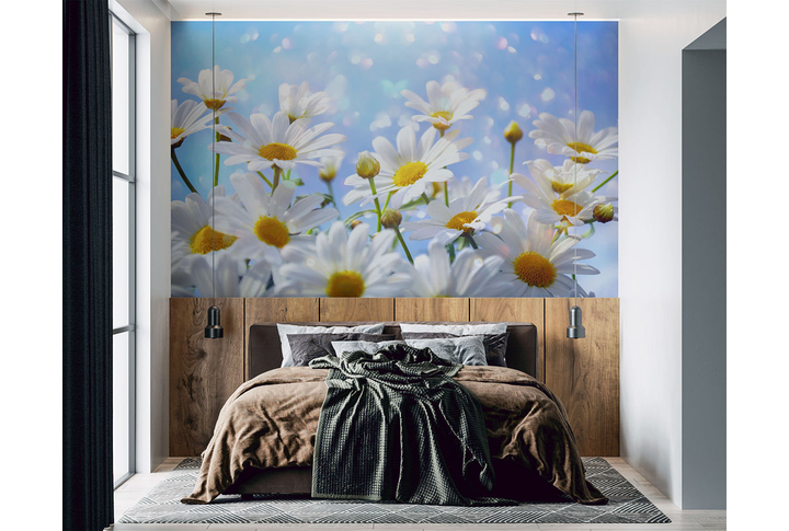 Фотообои «Ромашки в солнечном свете» в интерьере