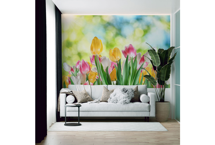 Фотообои «Разноцветные тюльпаны» в интерьере