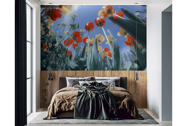 Фотообои «Вид снизу на тюльпаны» в интерьере