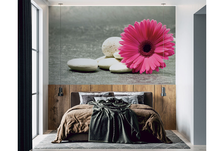 Фотообои «Гербера розовая на камнях» в интерьере