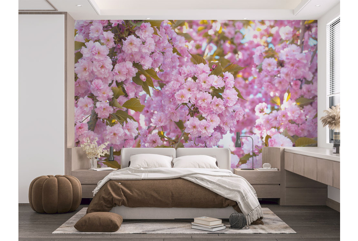 Фотообои «Сакура нежность весны» в интерьере