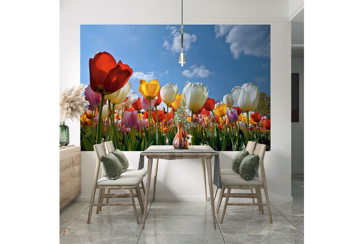Фотообои «Поле тюльпанов на фоне неба» в интерьере