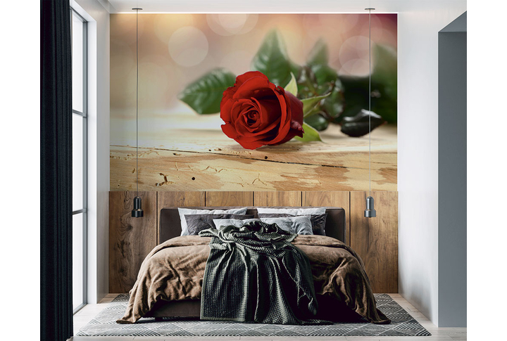 Фотообои «Цветок красной розы» в интерьере