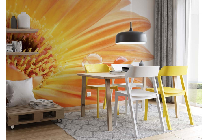 Фотообои «Капельки на лепестке оранжево-жёлтой герберы» в интерьере