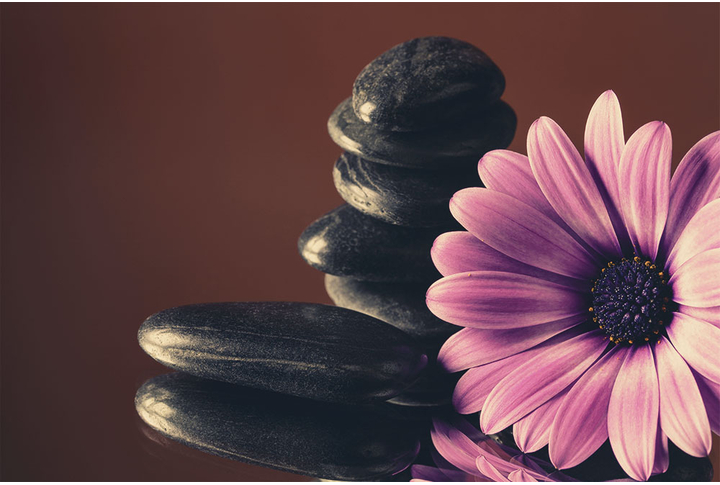 Фотообои «Цветок розовой герберы с камнями»