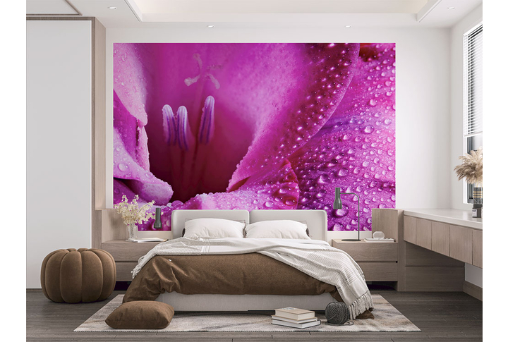 Фотообои «Сиреневый цветок в каплях дождя» в интерьере