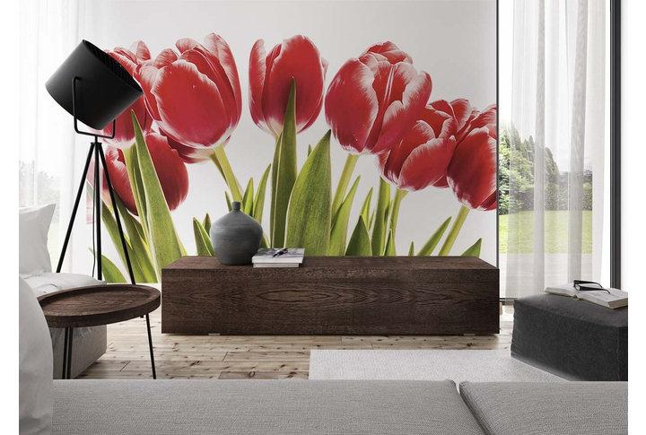 Фотообои «Тюльпаны темно-красного цвета» в интерьере
