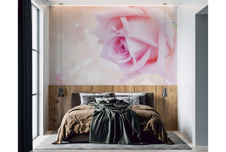Фотообои «Роза романтик, большой розовый цветок» в интерьере
