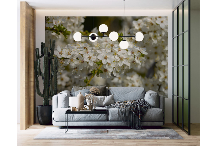 Фотообои «Цветы сакуры на ветках, цветущая вишня» в интерьере