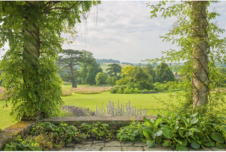 Фотообои «Терраса в саду с колоннами увитыми плющом, вид на природу»