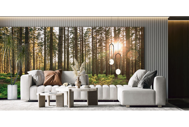 Фотообои «Панорама солнечного леса» в интерьере