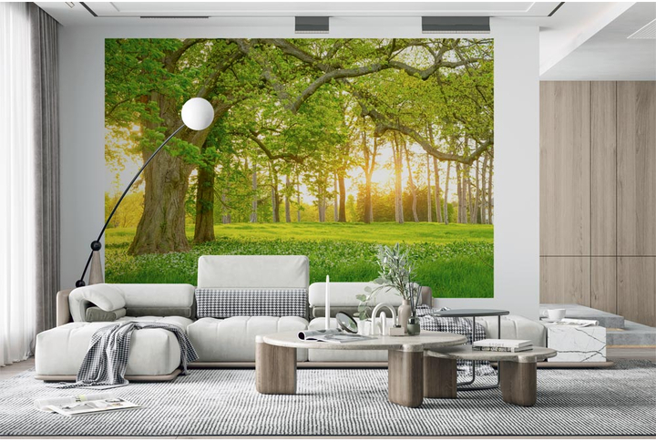 Фотообои «Лес на закате, полянка цветов» в интерьере