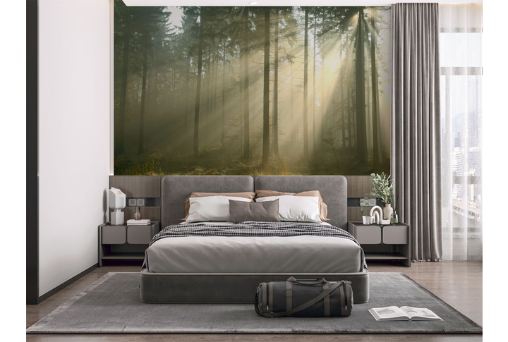 Фотообои «Лес в тумане, осенняя природа» в интерьере