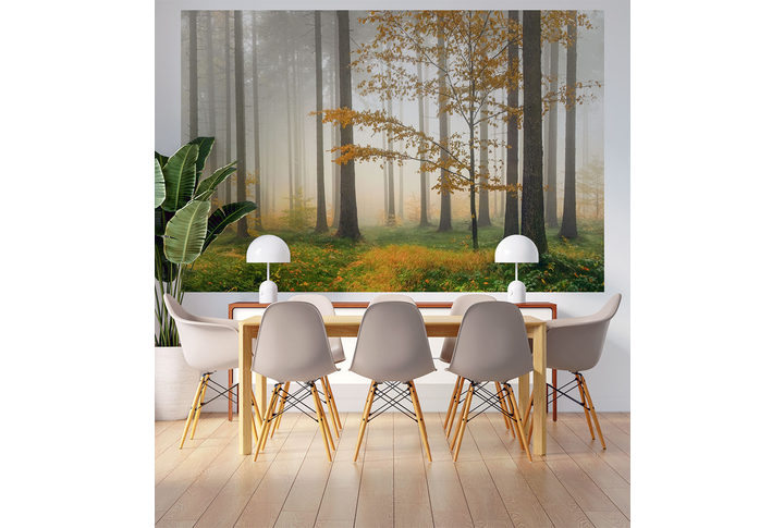 Фотообои «Туманный лес после осеннего дождя, природа» в интерьере