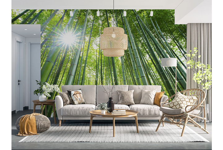 Фотообои «Свет солнца в бамбуковом лесу» в интерьере