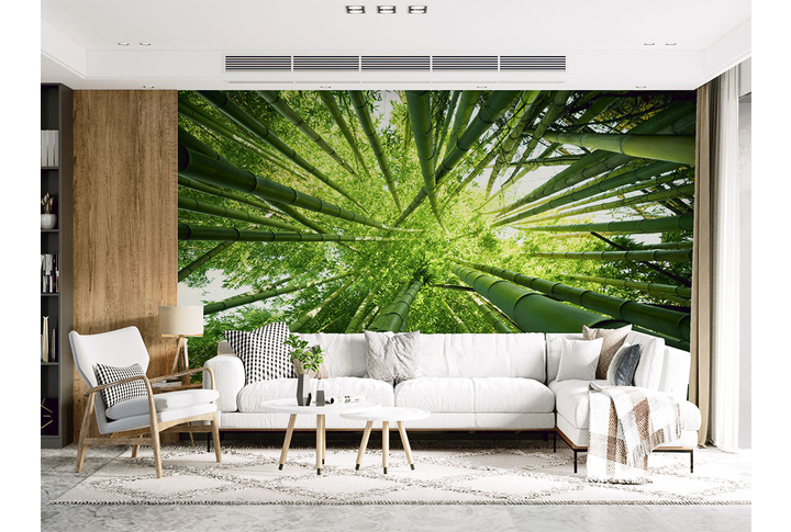 Фотообои «Бамбуковый лес» в интерьере