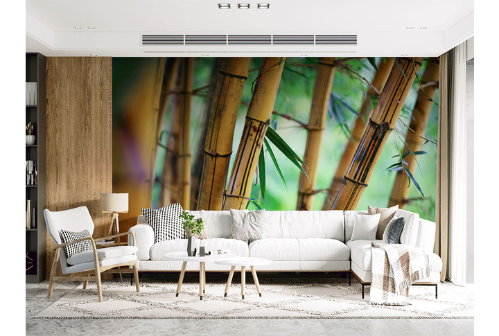 Фотообои «Старый бамбуковый лес» в интерьере