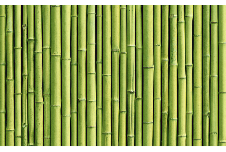 Фотообои «Стена из бамбука»