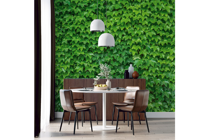 Фотообои «Зеленые листья плюща» в интерьере