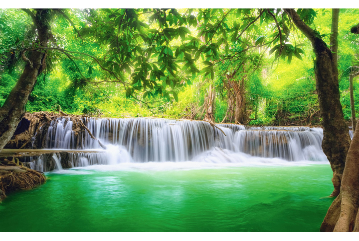 Фотообои «Водопад у озера в утреннем тропическом лесу»