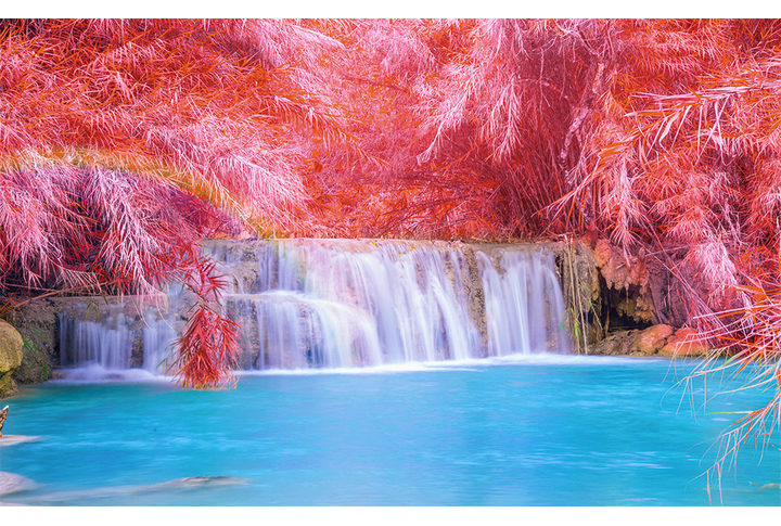 Фотообои «Водопад в осеннем лесу»