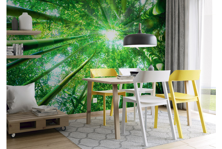 Фотообои «Высокий бамбуковый лес» в интерьере