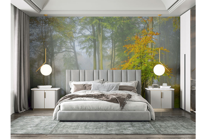 Фотообои «Туманный лес осенью после дождя» в интерьере