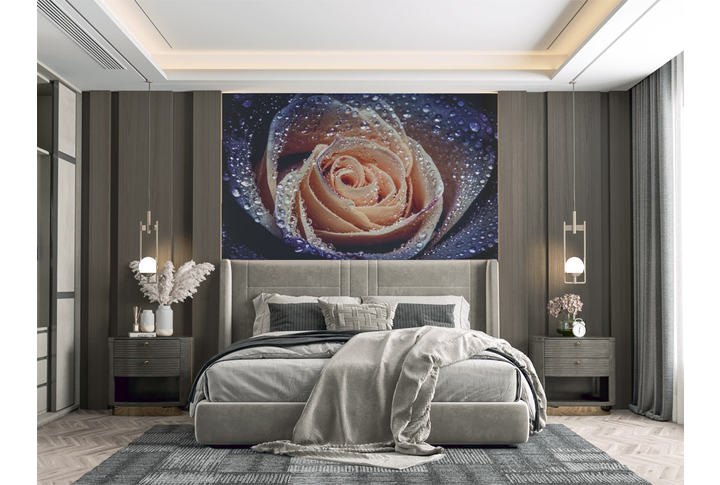 Фотообои «Ночная роза» в интерьере