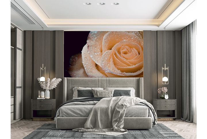 Фотообои «Утренняя роза» в интерьере