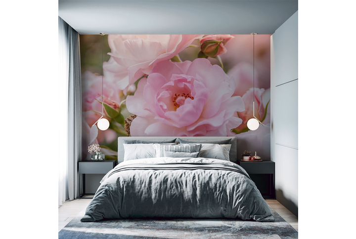 Фотообои «Розы в розовом цвете» в интерьере